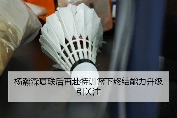 杨瀚森夏联后再赴特训篮下终结能力升级引关注